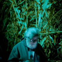 Westill_Festival_Report_Gael_Mathieu_The_Heavy_Chronicles_2024-22